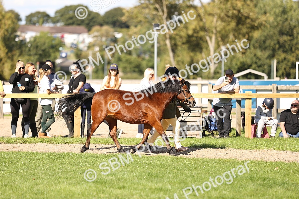 SBM_26134 - S5 - Novice & Newcomers In Hand