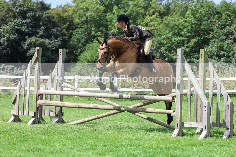 3E7A8881 - Class 6: Open Working Horse