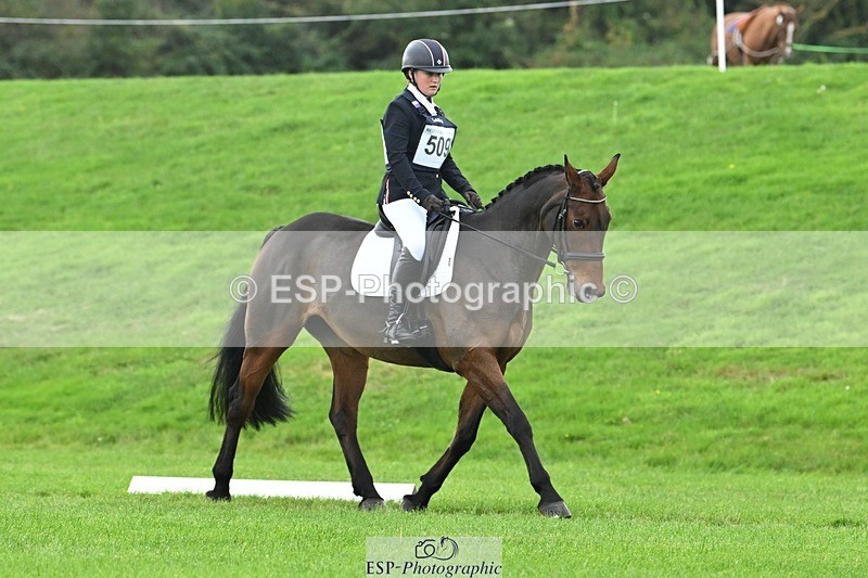 241024-114527-03308 - 509-Tichy.Sanders-SPARHANGER.VELVET