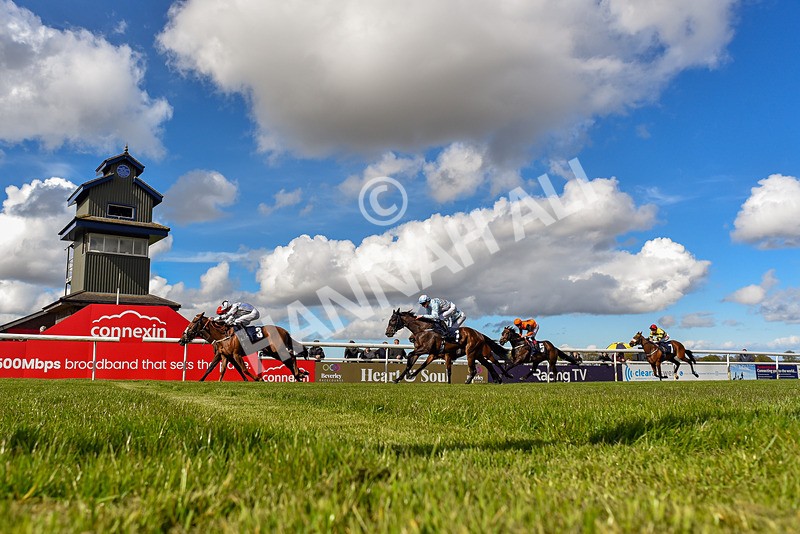 250424-Race 4-Classy Boy-3904 - Race 4