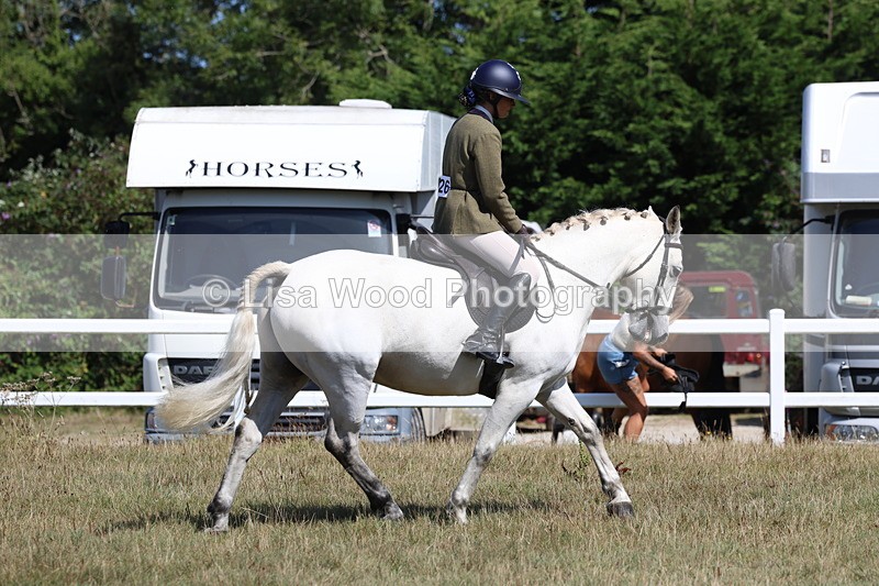 3E7A6340 - Working Hunter Championship