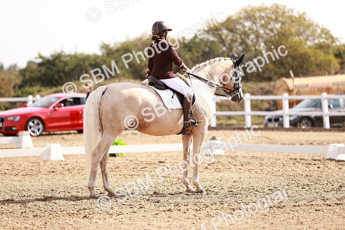 SBM_017034 - Class 10 - Medium 6