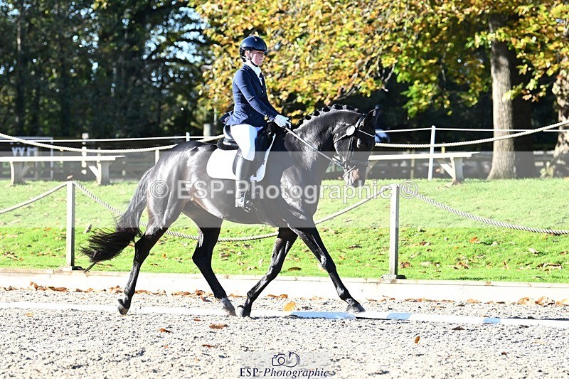 231110-101947-00056 - Cls 2 Prelim 17(a)Q