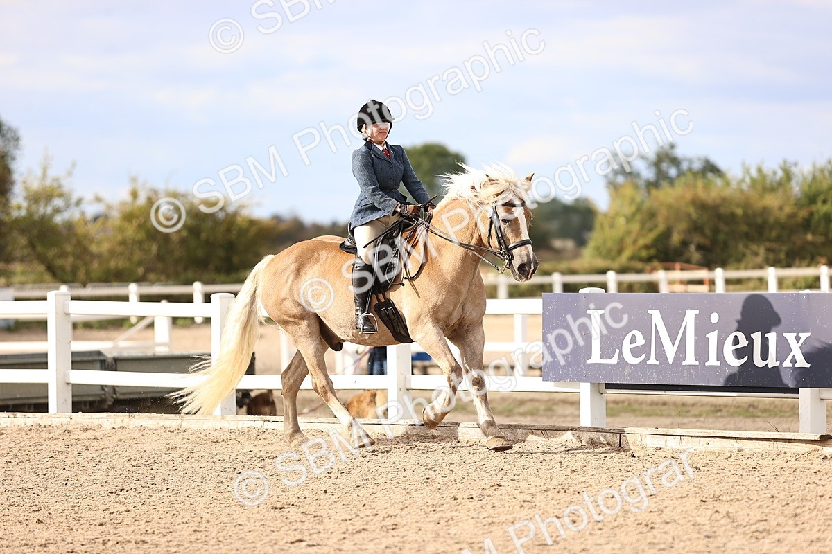 SBM_18171 - Class 423 - Equitation (best rider) Adult