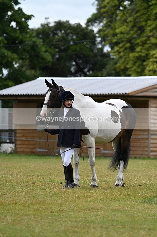 WJ7_6312 - Class 4a Prettiest Mare over 14hh