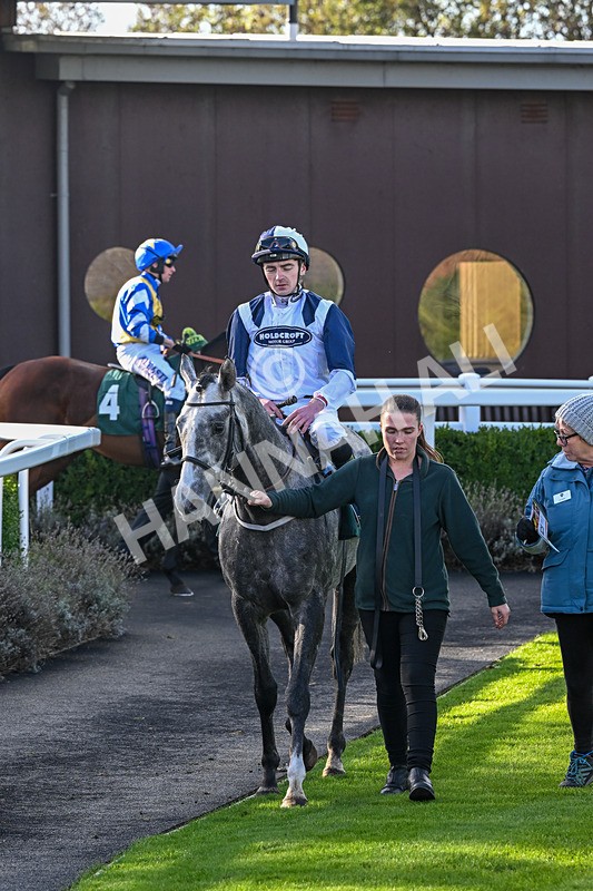 281025-Race 2-Grey Horizon-0928 - Race 2