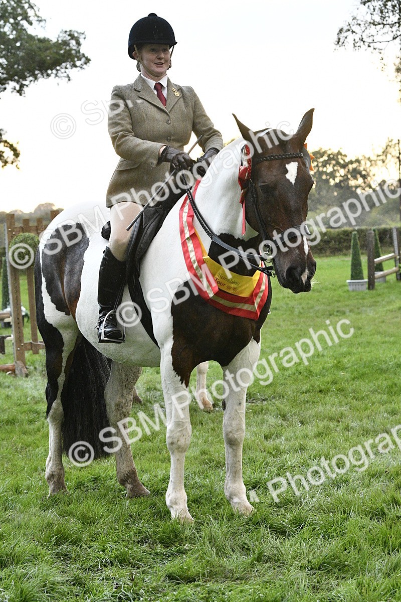 SBM_53332 - S14 - Riding Club Horse