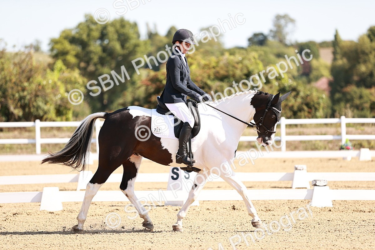 SBM_004359 - Class 12 - Novice 5 - 10.31-11.41