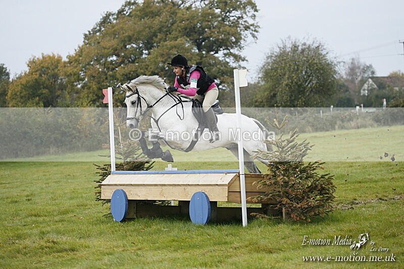 WWHT 181020 WWHT 181020 587 - WWEC Open Novice (0.80m) 18/10/20