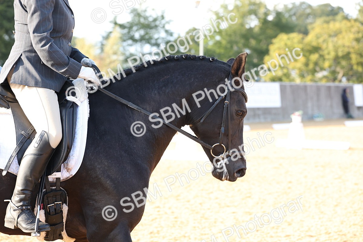 SBM_28261 - D20 - Grand Tour Championship Elementary 3