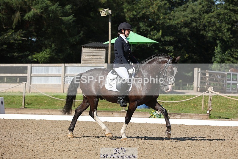 240719-094421-00238 - 262-Leia_Bower-Horeb_Llew