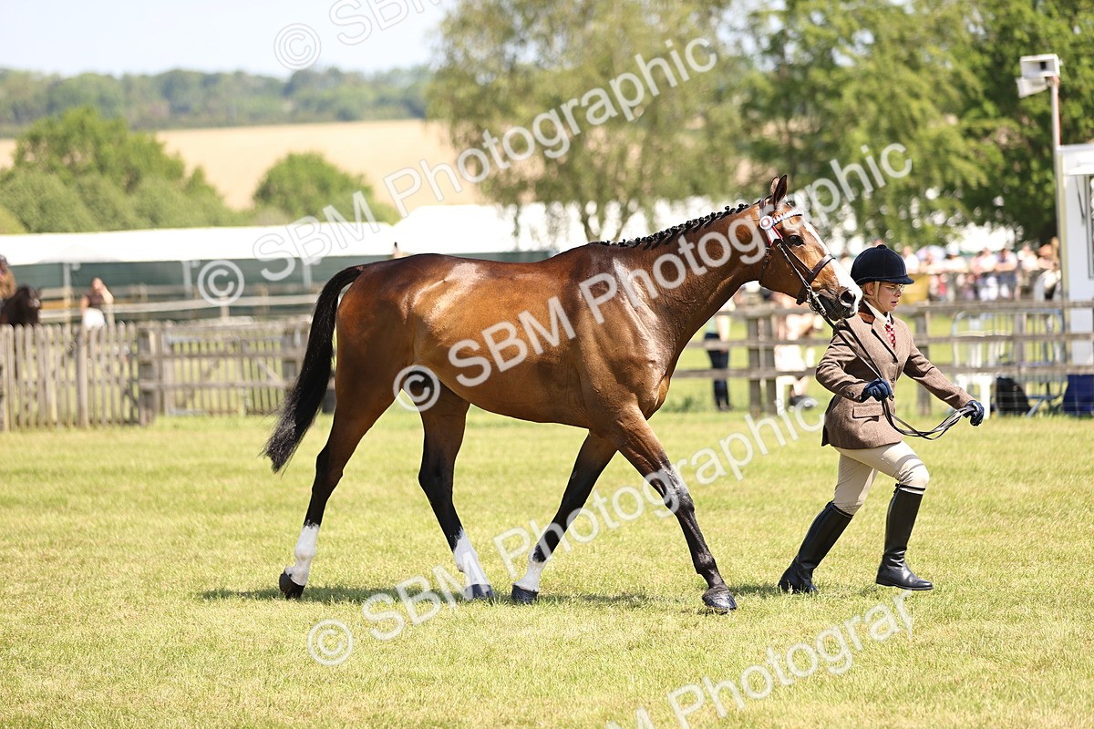 SBM_14972 - Class 78 - LIHS BSHA Open Racehorse & Show Horse