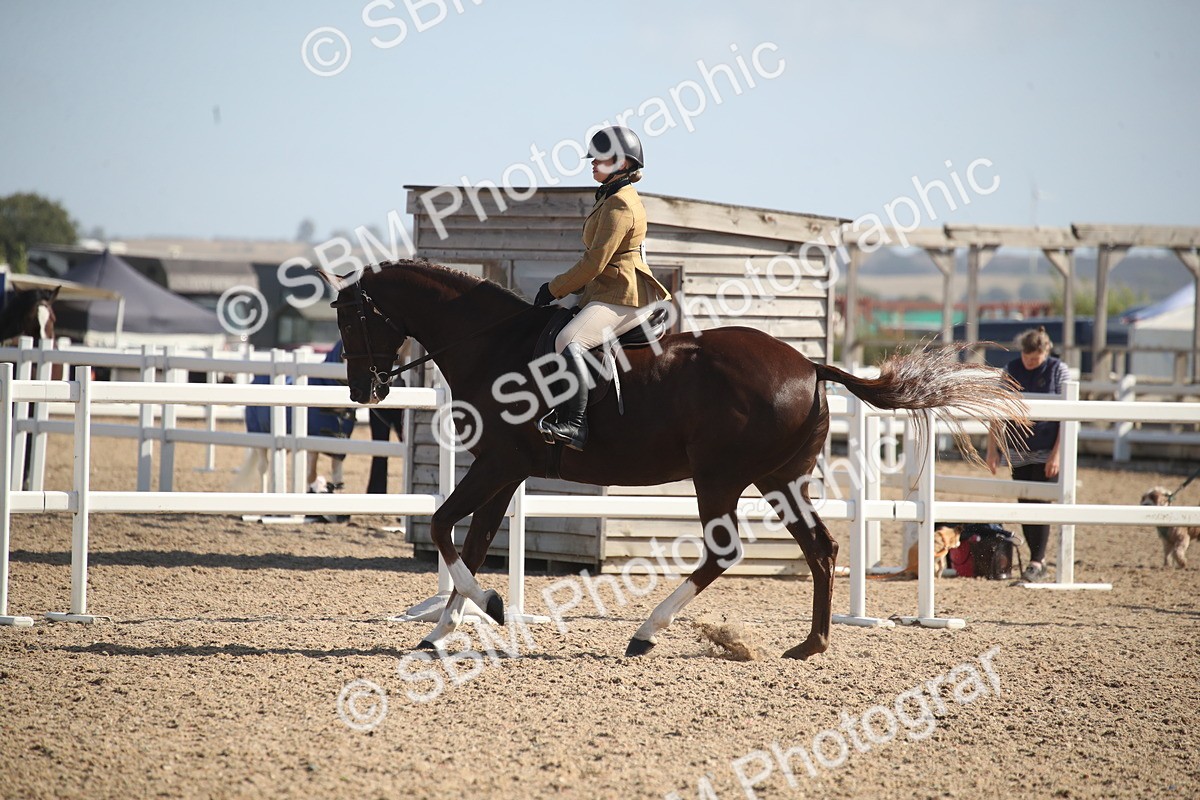 SBM_22833 - Class 602 - 2026 Area - Ridden Veteran
