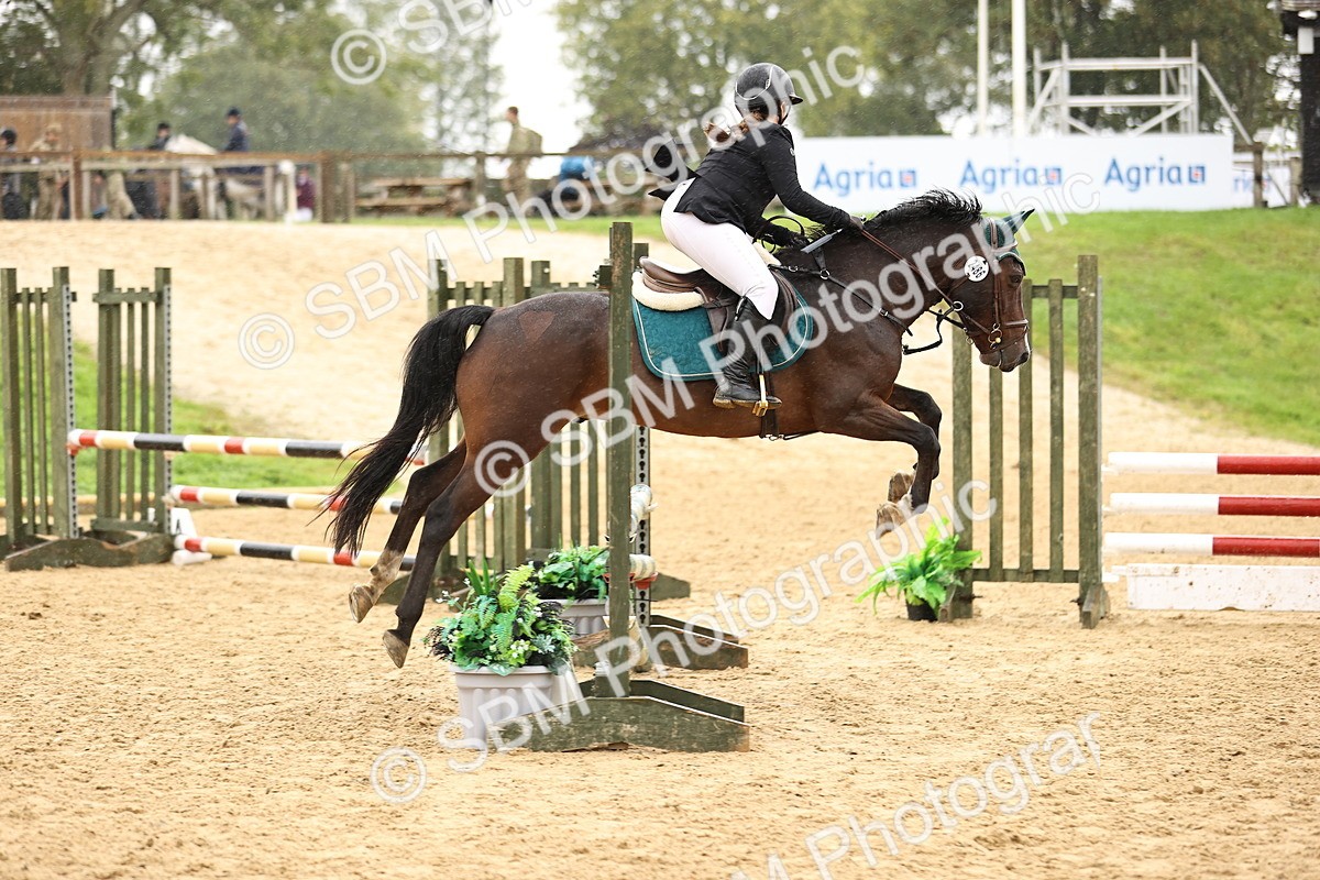 SBM_69918 - Supreme Championship 80cm 85cm