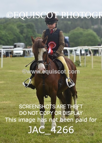 JAC_4266 - WORKING HUNTER CHAMPIONSHIP