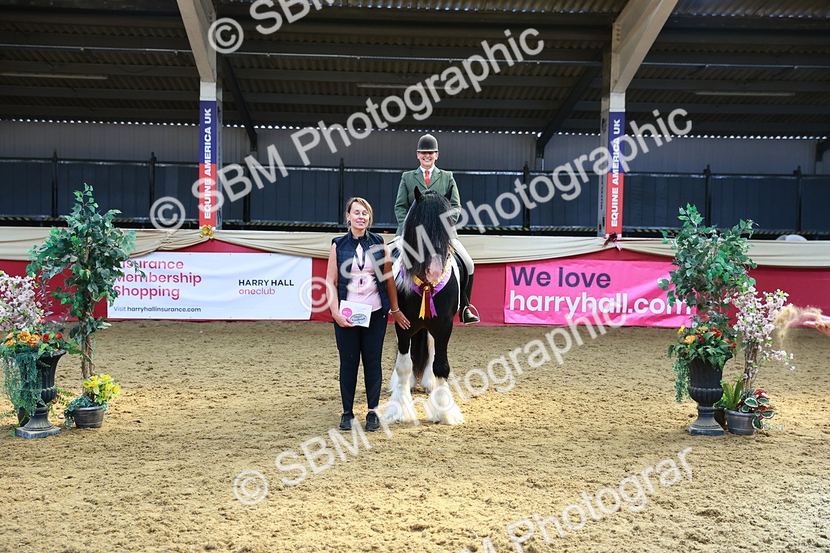 SBM_12765 - HOYS Veteran Qualifier - Ridden Champ
