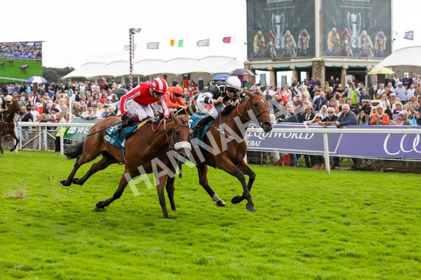250823-Race 5-Reach-5913 - Race 5 4.10pm Assured Data Protection EBF Fillies' Handicap
