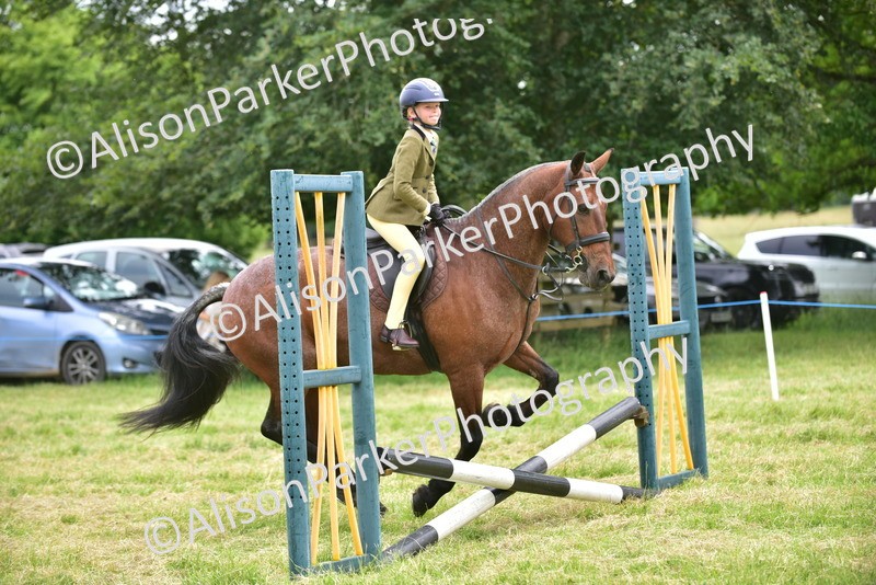 20260614-2679 - Class 13 - Pony Club Pony