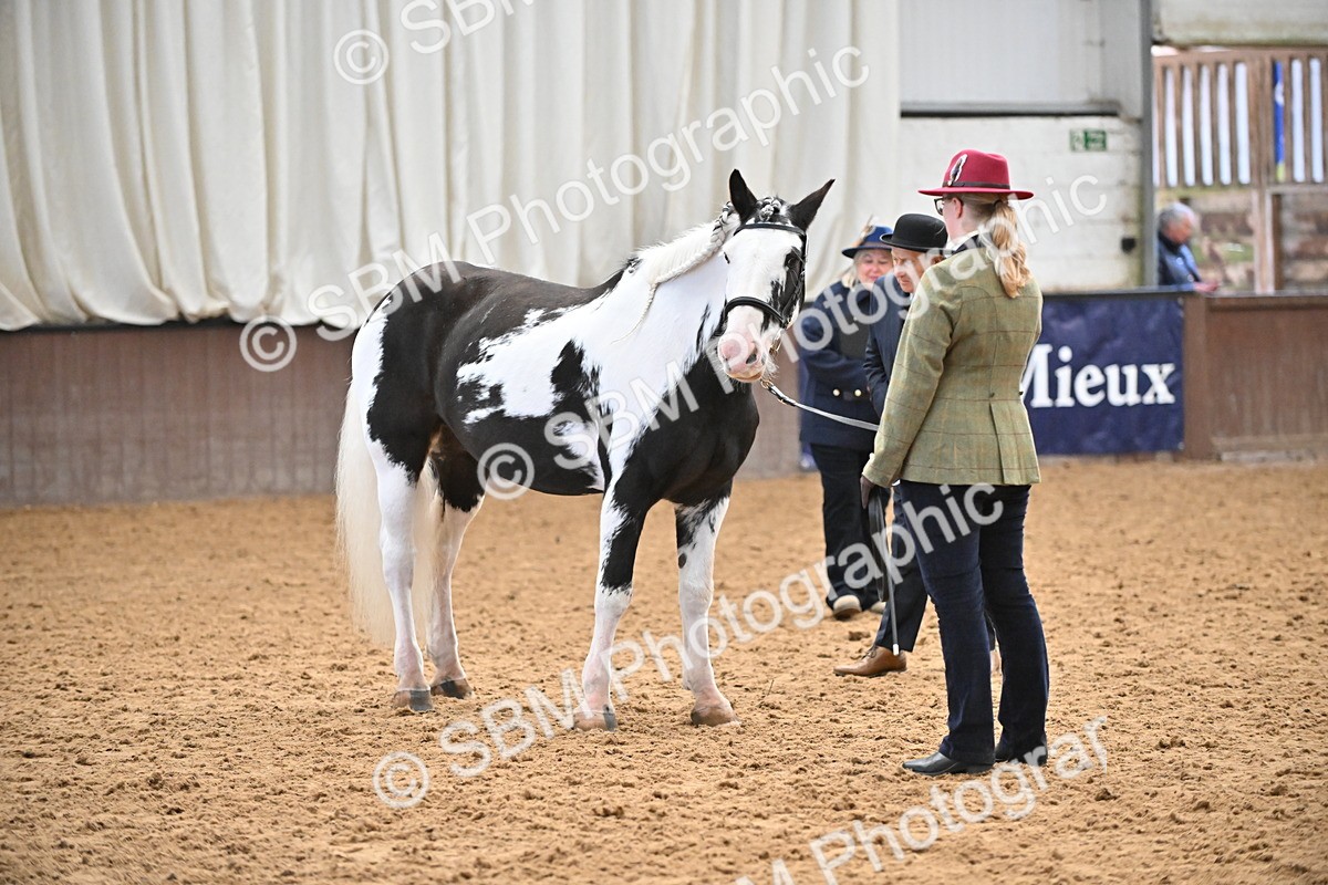 SBM_000293 - Class 10 - In Hand Coloured & Odd Coloured