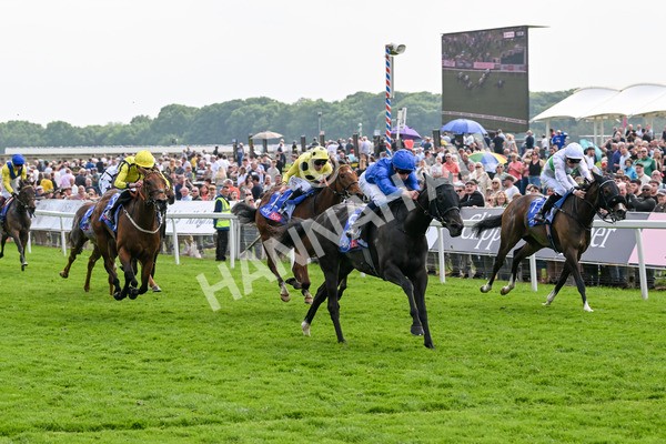 170524-Race 3-Devoted Queen-7876 - Race 3 3.15pm Sky Bet Fillies' Stakes (Registered As The Michael Seely Memorial Fillies' Stakes)