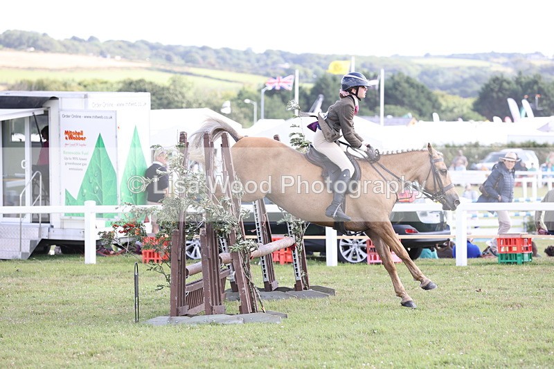 JPP_2716 - Class 20: Working Hunter 70cm