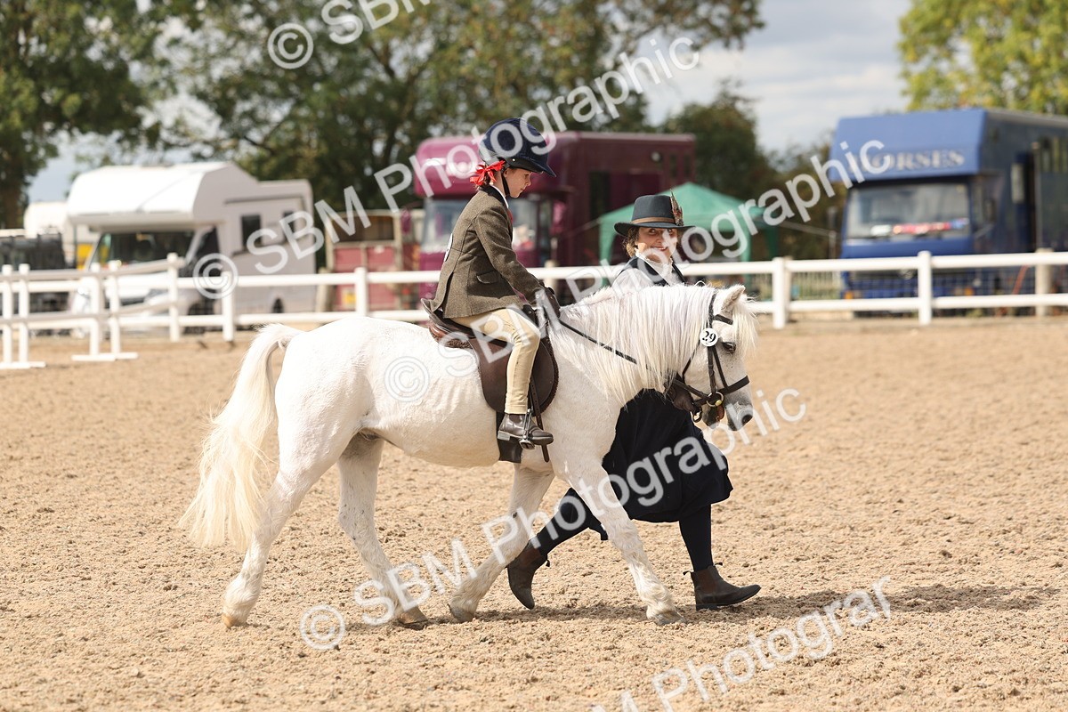 SBM_15771 - Class 309 - Lead Rein Pony