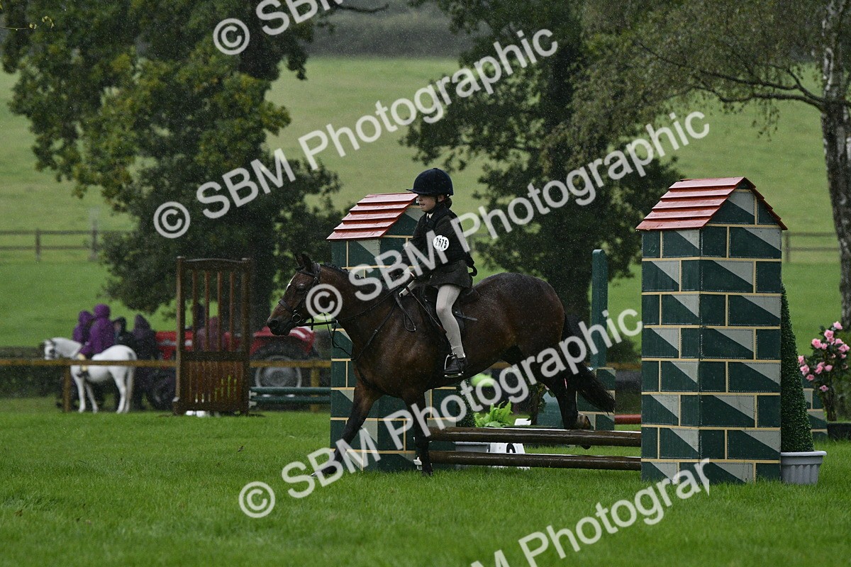 SBM_35503 - S30 - Nursery Stakes Working Hunter Pony