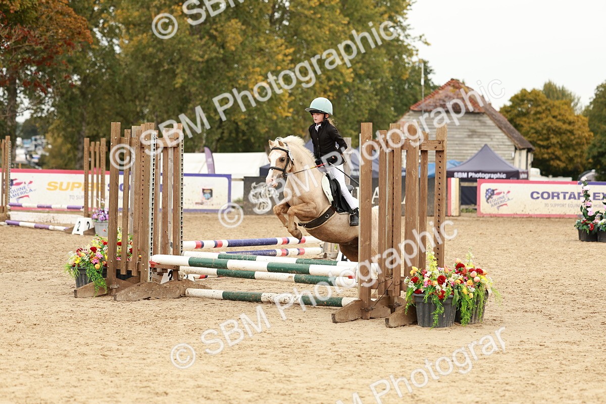 SBM_57910 - J11 - Junior Pony 50cm Championship