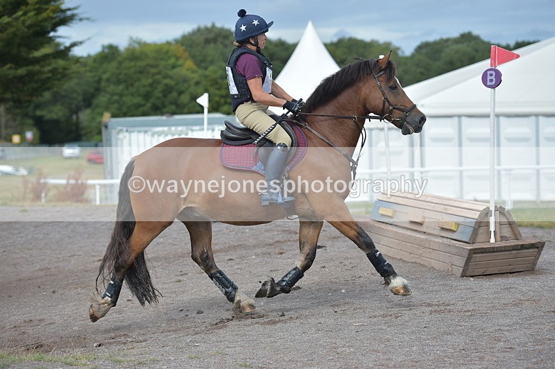 NGP_1159 - XC Time 10:38 to 10:51