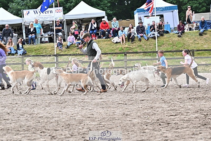 250524A-152921-12803 - East Devon Hounds