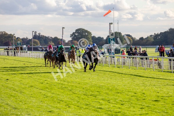 111024-Race 6-Fondo Blanco-6989 - Race 6 4.20pm William Hill EBF Novice Stakes
