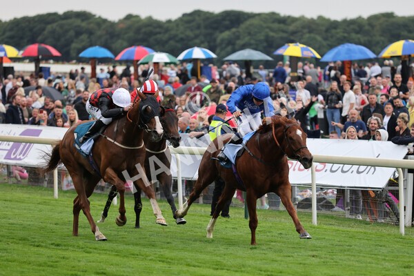 yr22072022r2-21 - Race 2 5.50pm eventmasters.co.uk Stakes