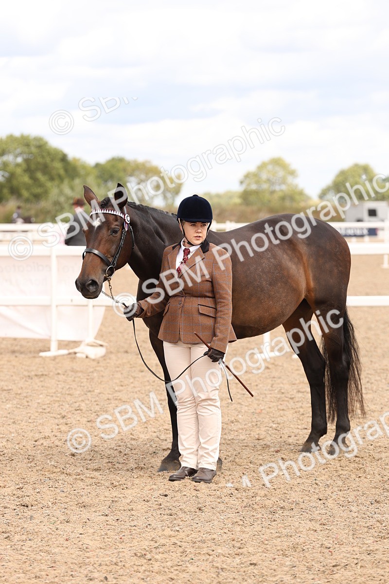 SBM_14686 - Class 208 - IH Veteran Horse