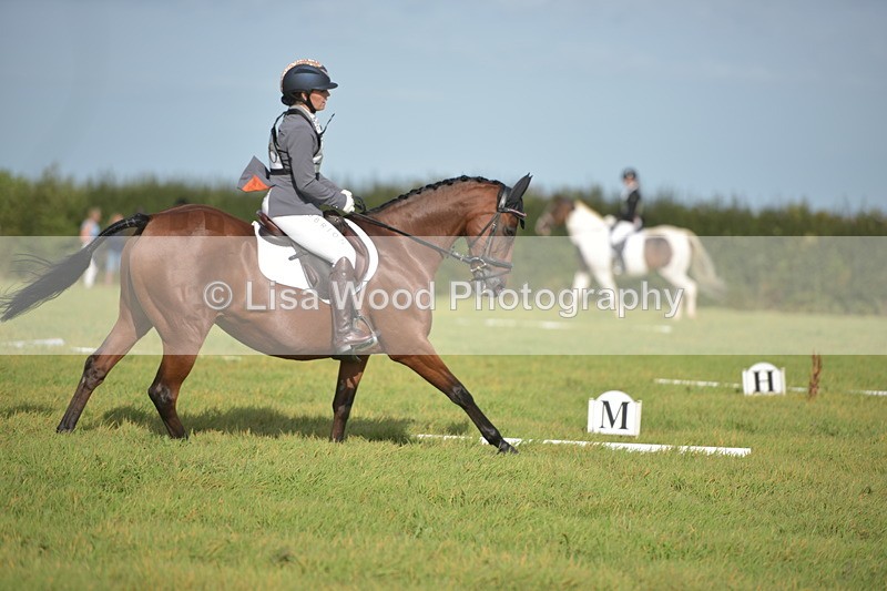 RAY_7589 - Class 2B: Trekenning Open: Dressage