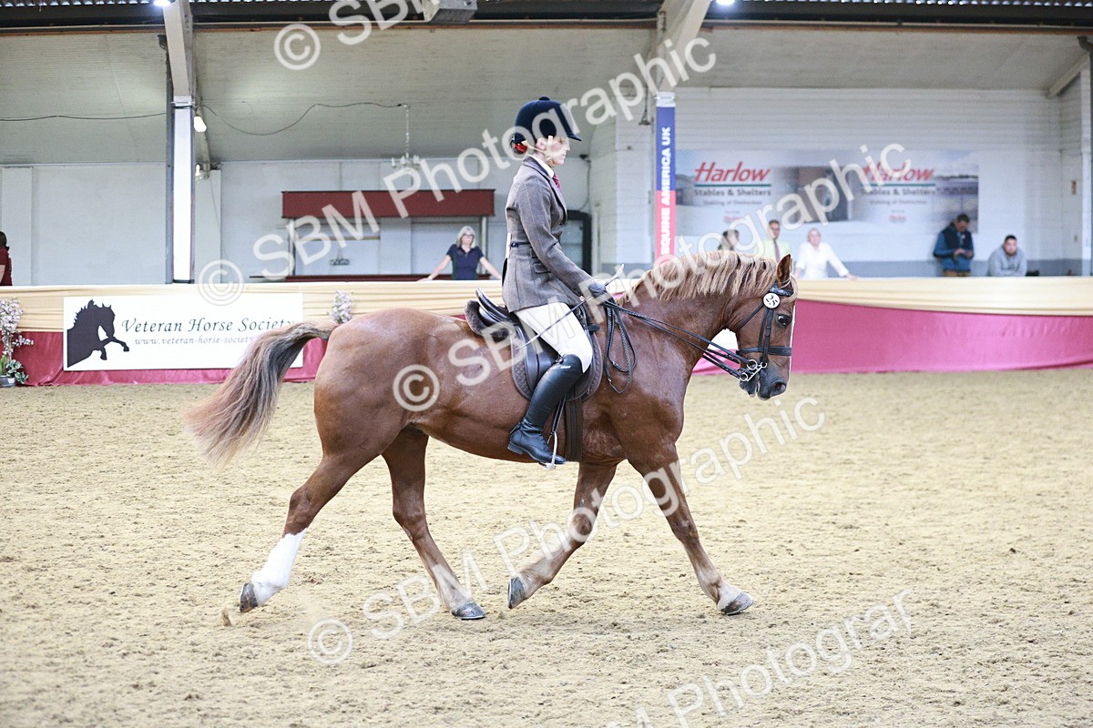 SBM_07128 - Class 10R - Regional Ridden Diamond