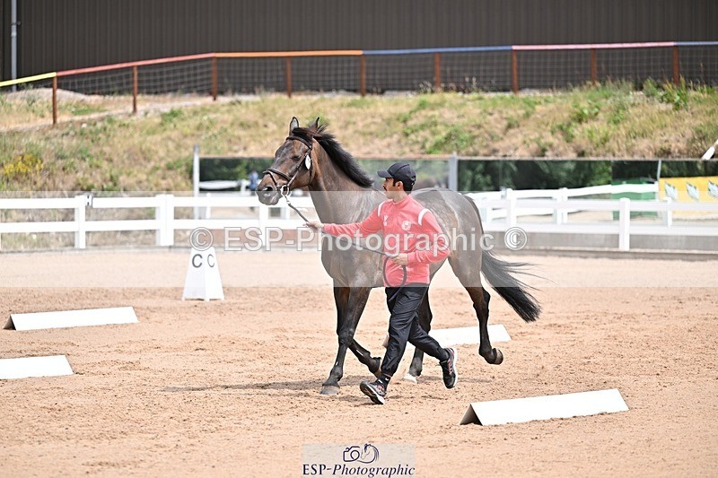 250716-132049-00446 - Trot Up 12.30 to 1.30