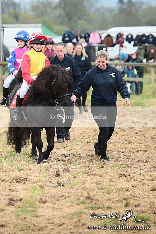SHETPR 210425 64 - Shetland Ponies Paxford Races 21/04/25