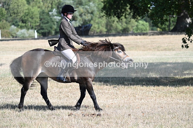 WJ7_3493 - Class 9 Mountain & Moorland Ridden