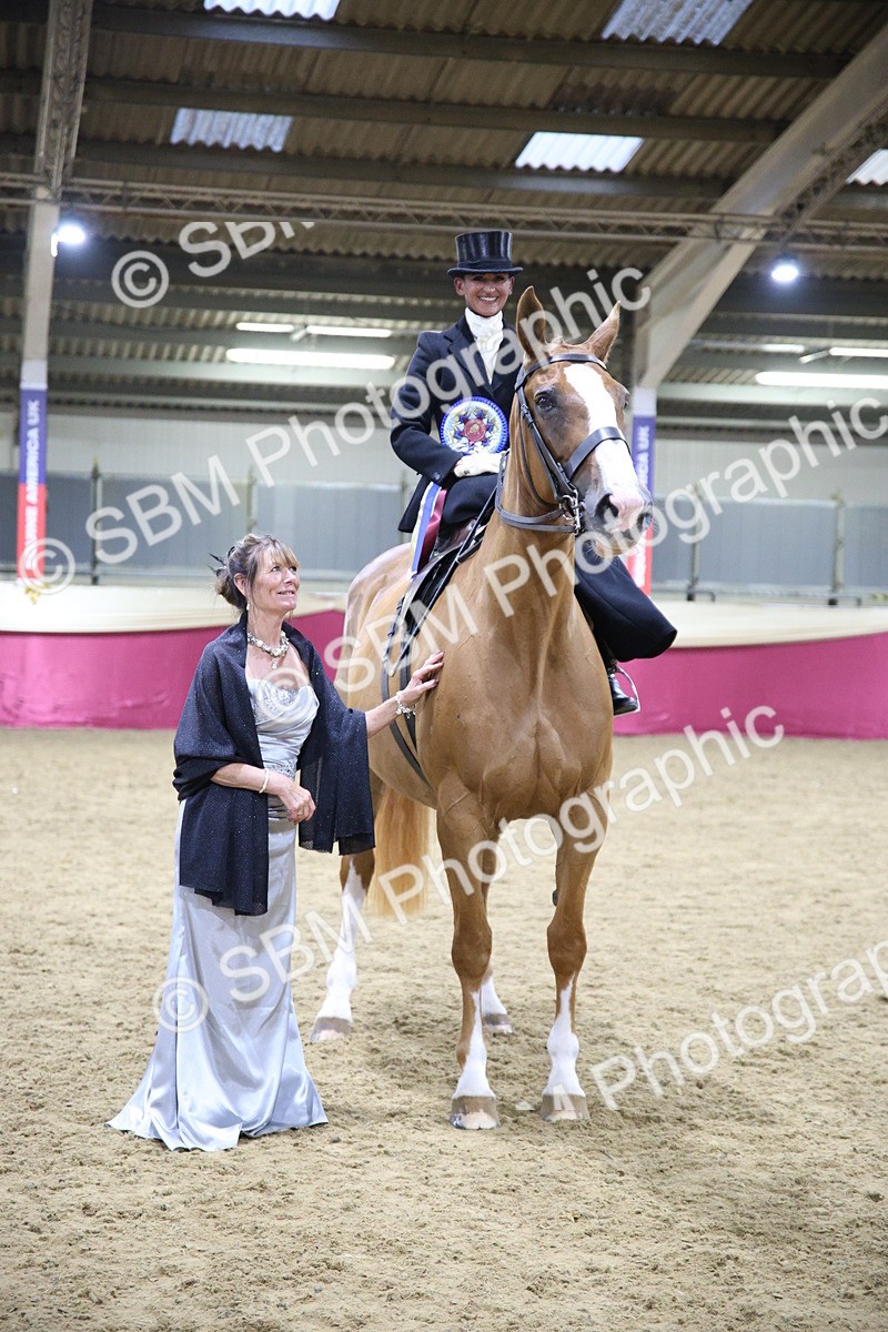 5K7A1507 - Class L Side Saddle Champ