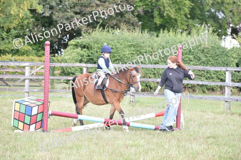 20250831-0489 - Class 7 - Absolute Novice 35cm