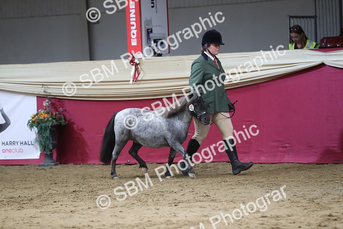 SBM_06290 - Class 9R Regional- IH Pre Vet