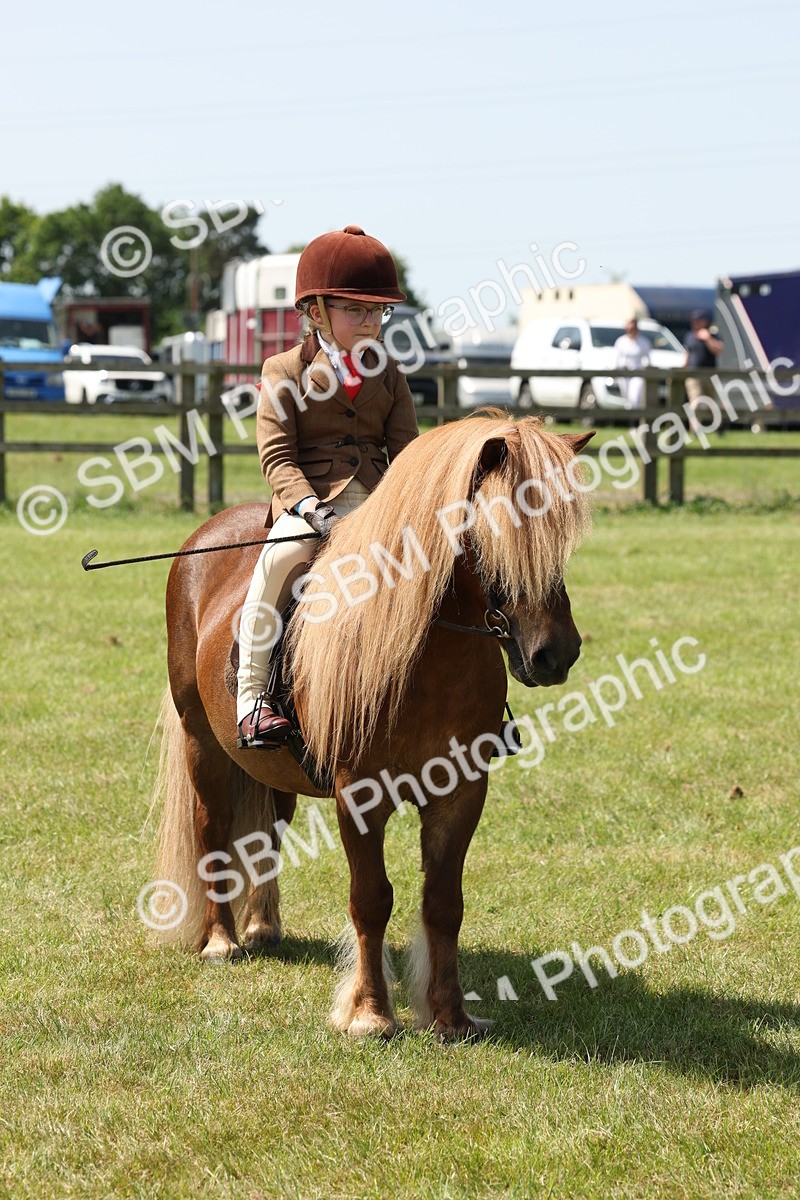 SBM_05357 - Class 24-25 - Mountain & Moorland In Hand Lead Rein and First Ridden