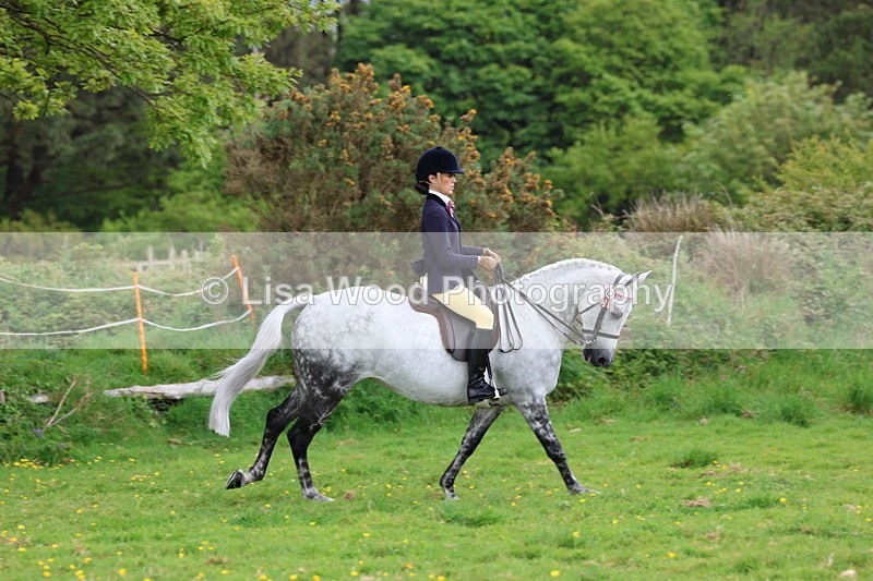 3E7A2078 - Class 11: Ridden Arab