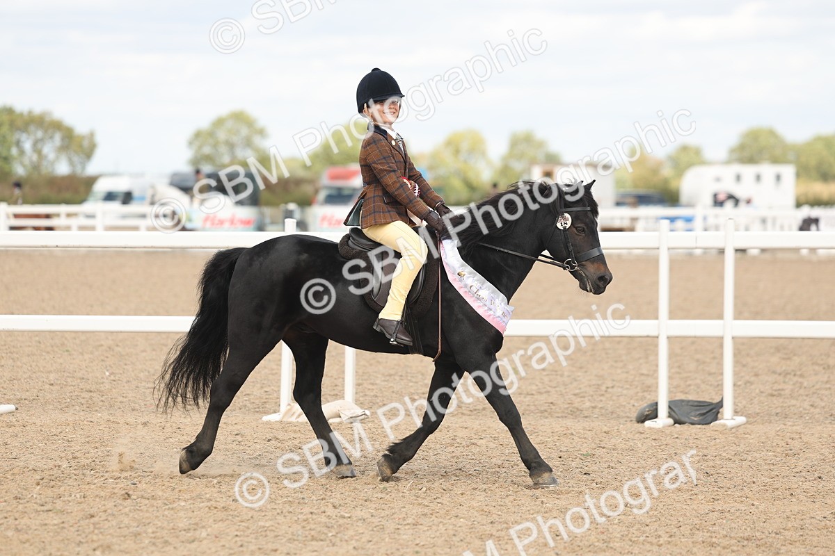 SBM_15942 - Class 310 - First Ridden Pony
