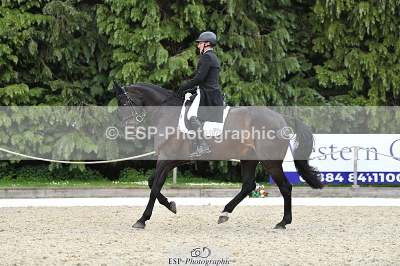 230525-141246-03110 - 319-RINGFORT_REVE_DU_MOULIN-Andrew_Downes-WEDTrotUp+DR