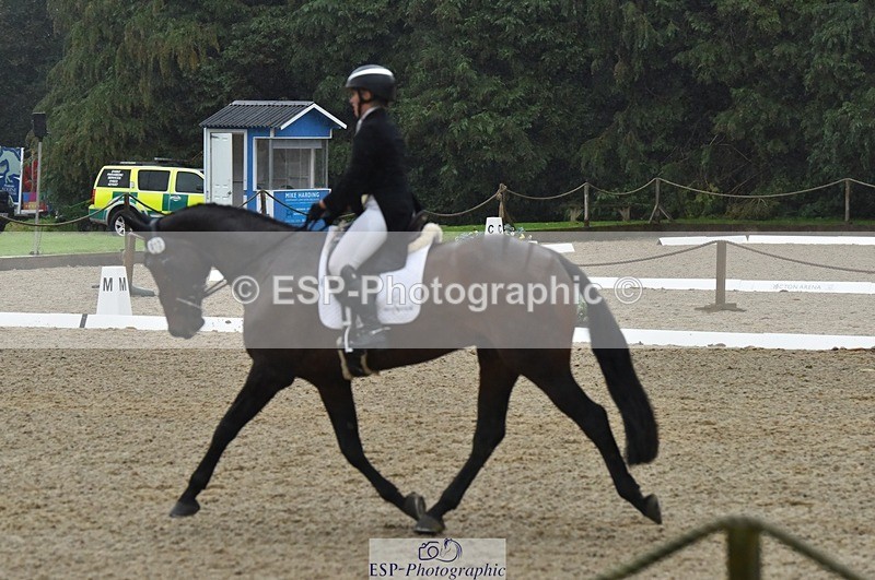 231018-154330-00861 - 012-ROMANY.CRICKET-Nana.Dalton-DR