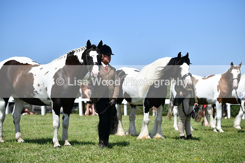 DSC_7672 - Class 64: Coloured Pony 4yrs & over