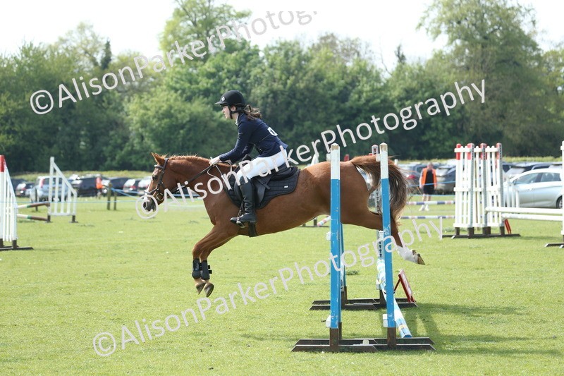 20260426-1494 - Class 14 - Novice 60cm