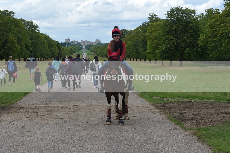 TT3_0306 - Time at Crossing 13:17 to 14:48