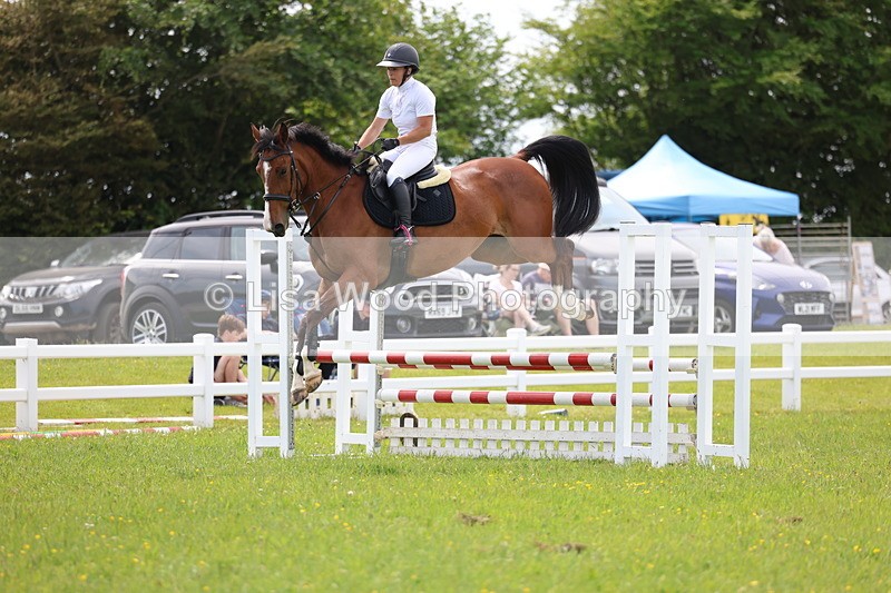 3E7A1505 - Class 13: Senior British Novice/90cm open